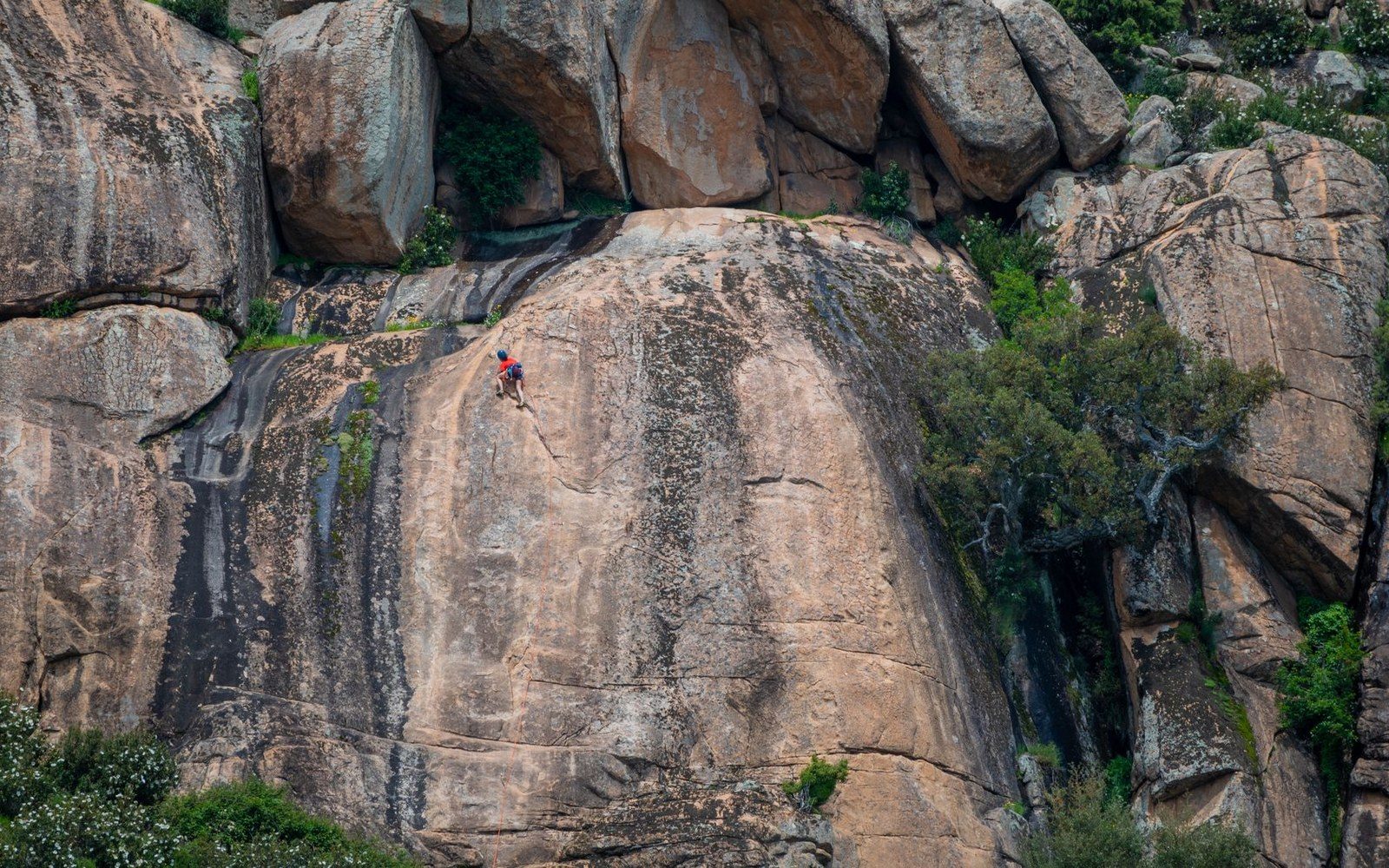 A lone climber ascends a large streaked granite dome surrounded by boulders and shrubs